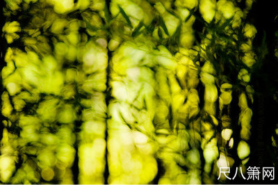 尺八名曲,尺八名曲欣赏